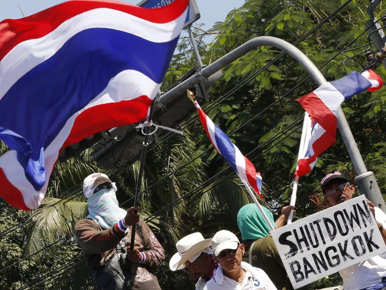 Protestieren, zum Teil vermummt, schwenken die thailändische Fahne in Bangkok