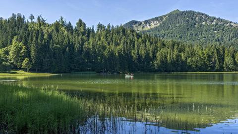 Spitzingsee mit Ruderboot, Gemeinde Schliersee, hinten Berg Brecherspitze, Mangfallgebirge, Bayerische Voralpen, Oberbayern, Bayern, Deutschland, Europa