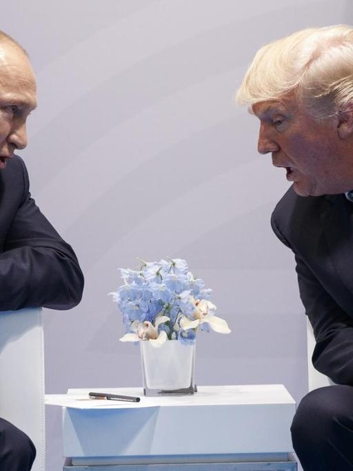 Das Bild zeigt den russischen Präsidenten Putin und US-Präsident Trump.