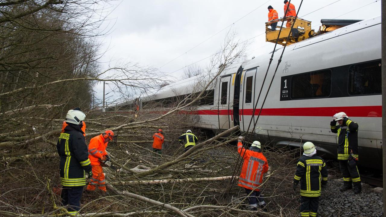 Feuerwehrleute und Bahnarbeiter bearbeiten Bäume, die auf einen Zug gefallen sind. 