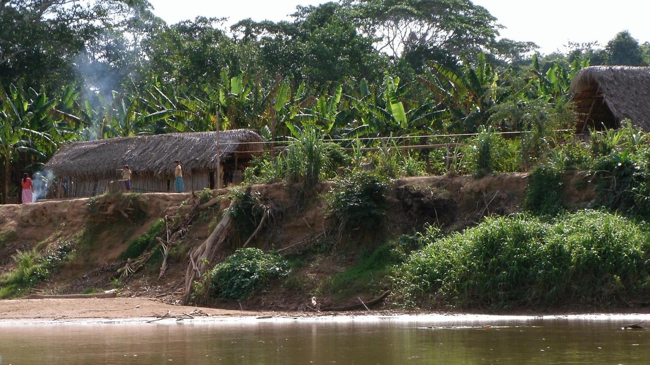 Das undatierte Handoutbild zeigt ein Tsimanesdorf im Bolivianischen Amazonas am Fluss. 