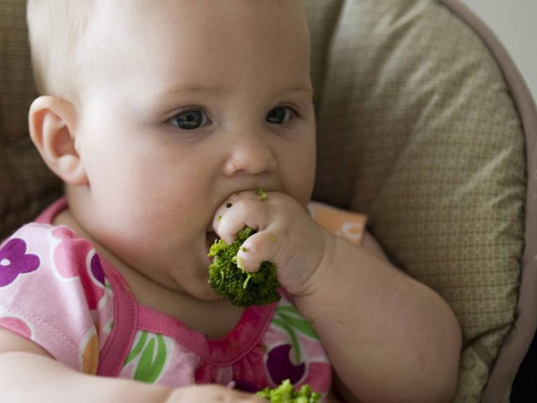 Ein Baby beißt in ein Stück Brokkoli, das es in seiner geballten Faust hält.