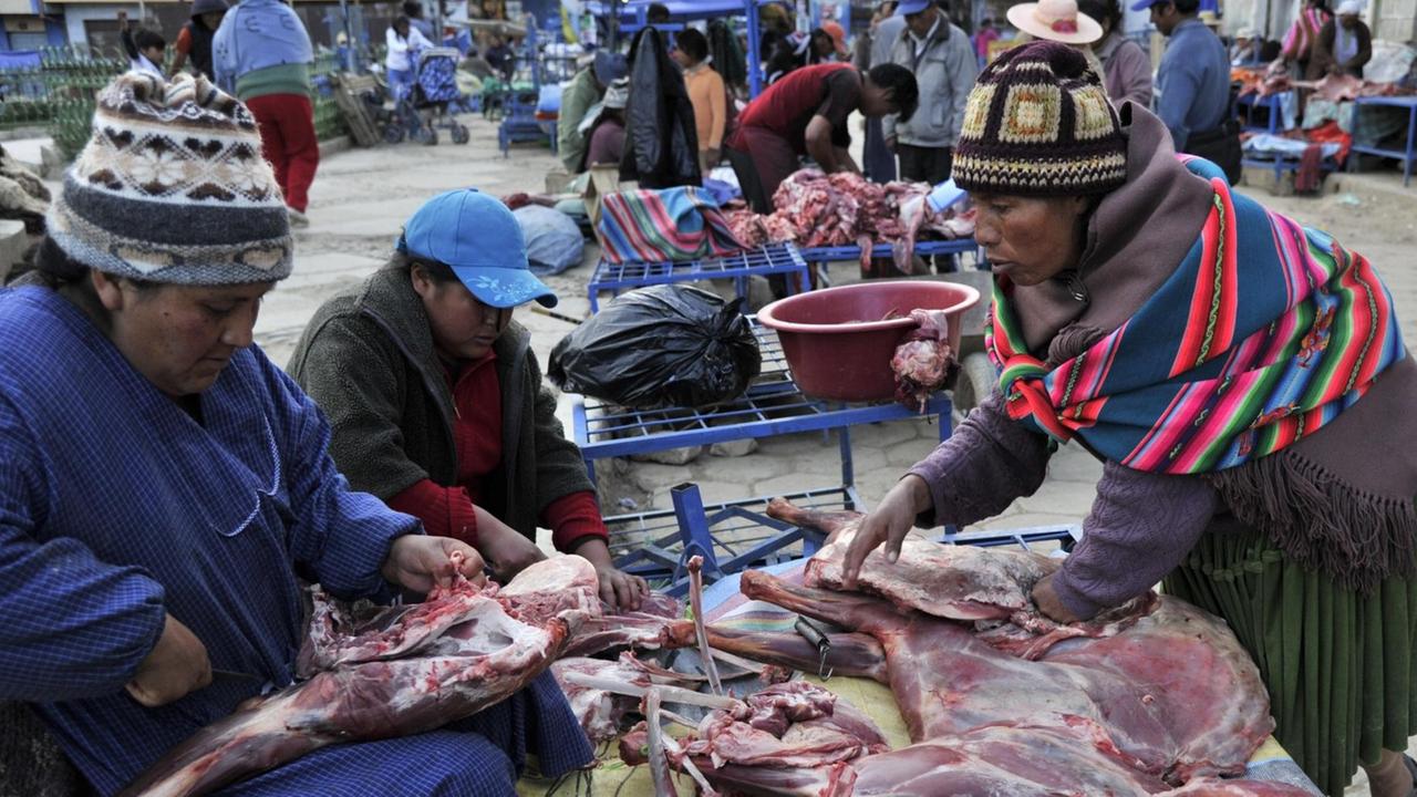 Auf einem Marktstand in La Paz verkaufen mehrere Frauen Lamafleisch (15.03.2013).