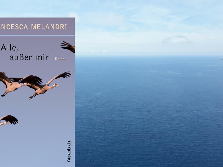 Buchcover: Francesca Melandri: "Alle, außer mir"