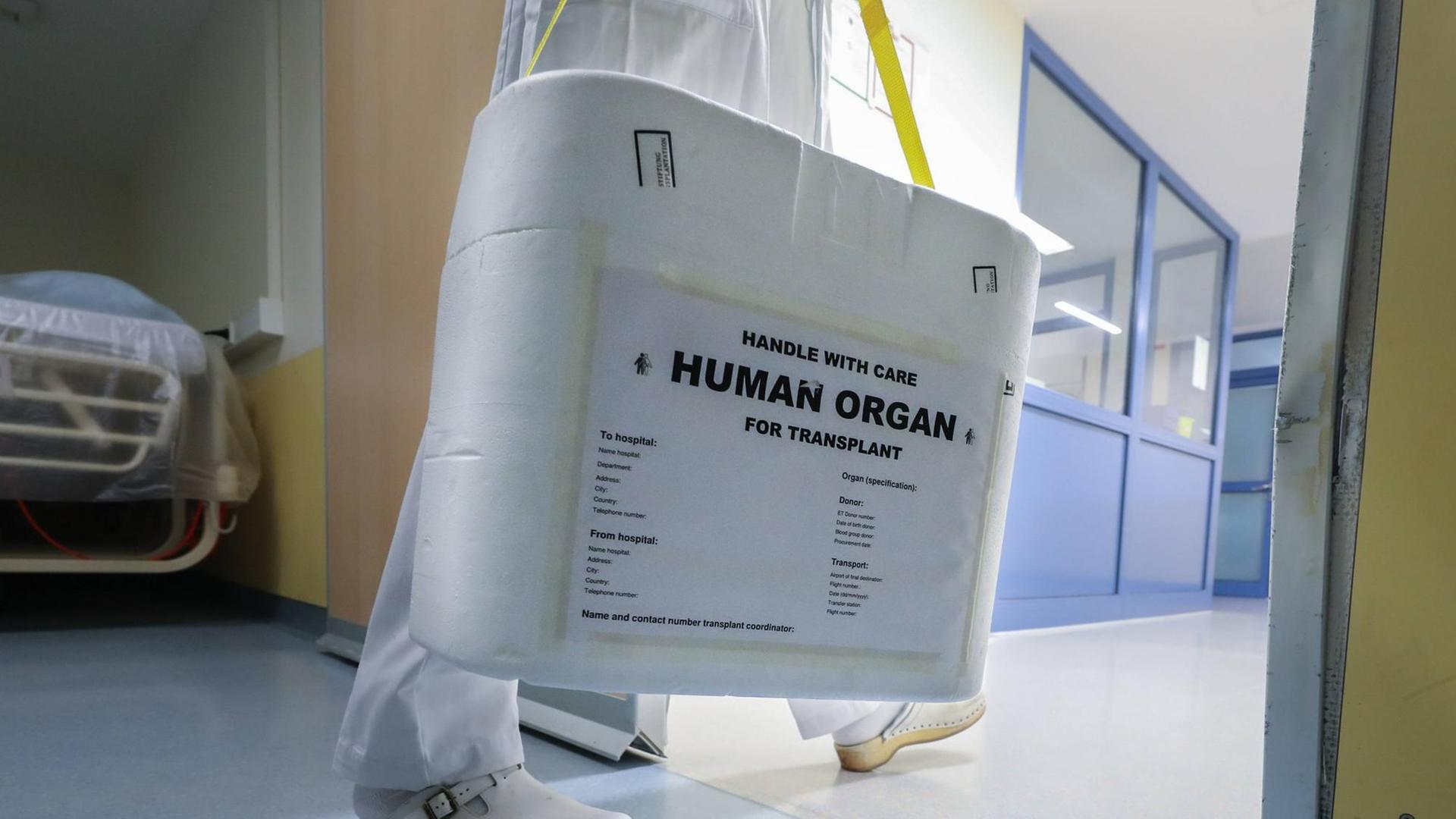 Pfleger trägt eine Box mit der Aufschrift "Human Organ" durch einen Krankenhausflur