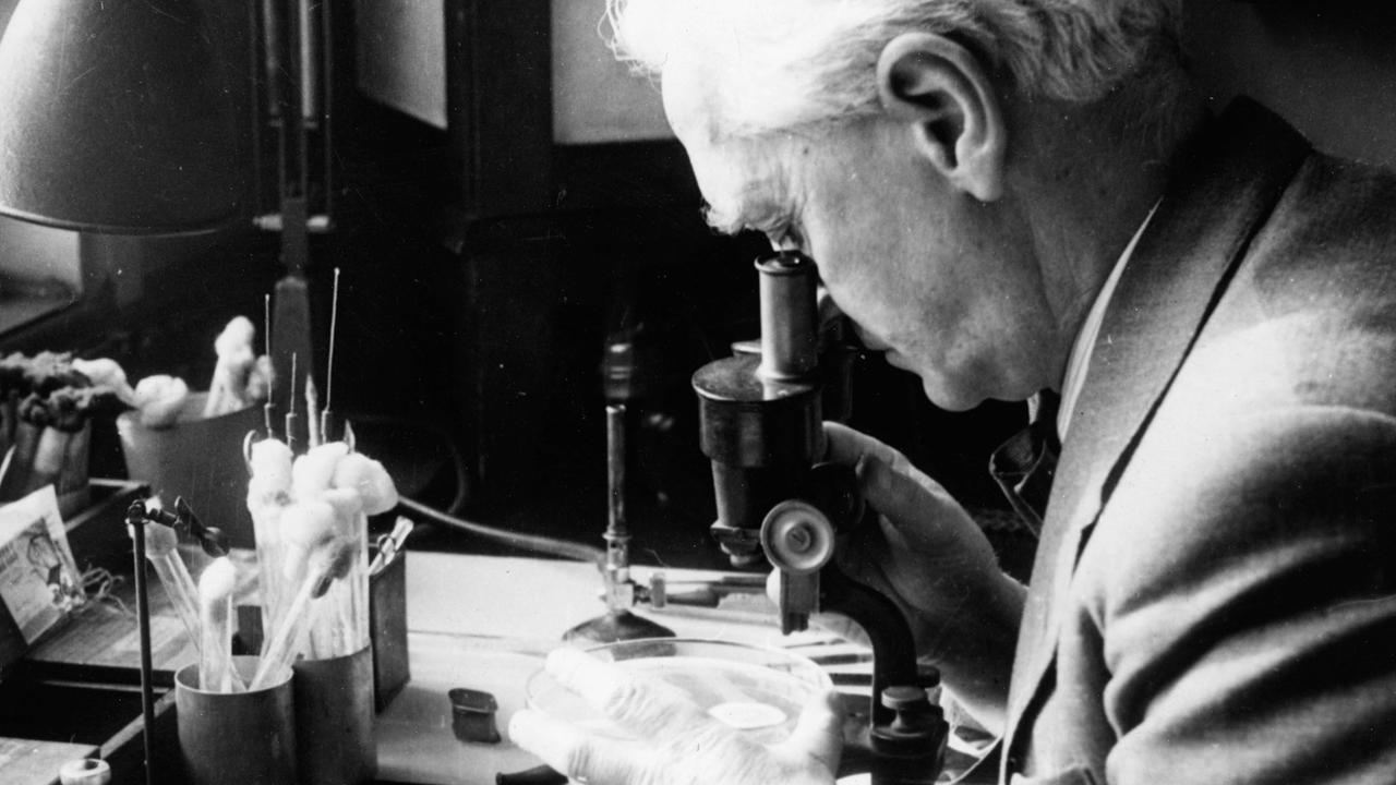 Alexander Fleming, schottischer Mediziner und Bakteriologe, der 1945 als einer der Entdecker des Antibiotikums Penicillin den Nobelpreis erhielt
