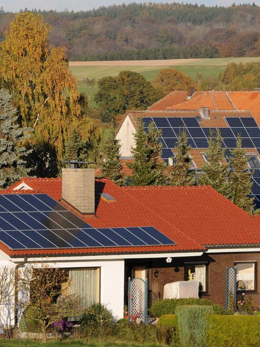 Viele Menschen in Deutschland haben schon Solar-Anlagen auf ihre Häuser gebaut (Bild: picture alliance / dpa)