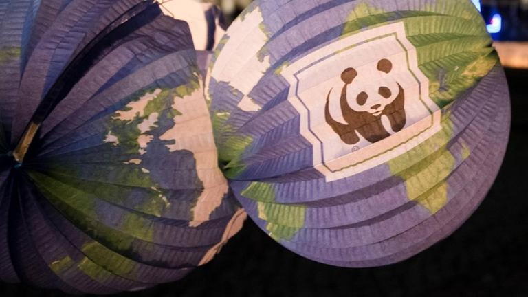 Das Panda-Logo des World Wildlife Fund 2016 auf einer erleuchteten Laterne vor dem verdunkelten Brandenburger Tor in Berlin Das Panda-Logo des World Wildlife Fund, WWF hier vor dem Brandenburger Tor in Berlin während der jährlichen, globalen Verdunklungsstunde Earth Hour - mit der Aktion will der WWF Aufmerksamkeit auf den Klimaschutz lenken