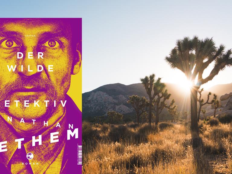 Das Cover von Jonathan Lethems "Der wilde Detektiv" vor einem Hintergrundbild.