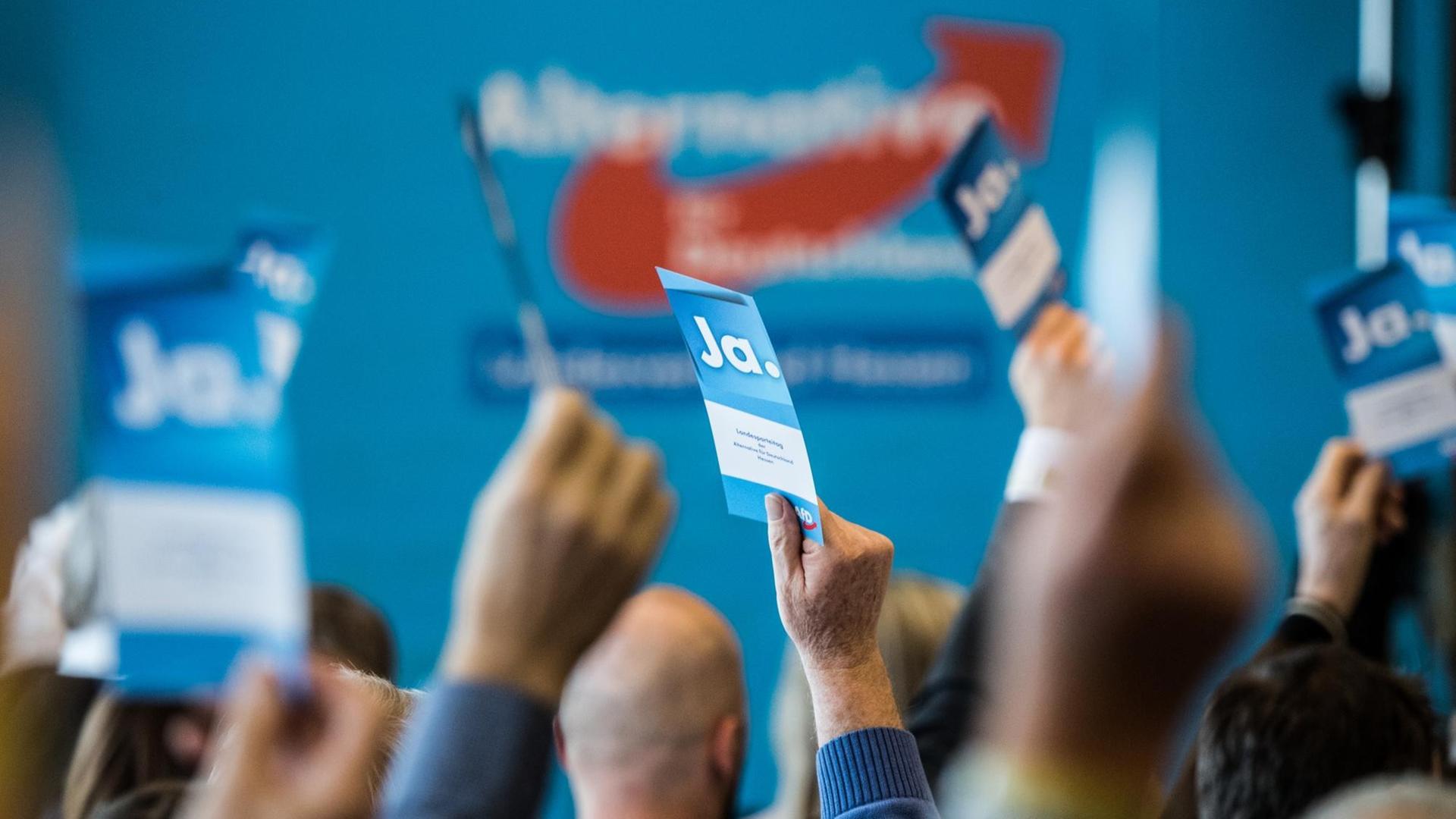 Delegierte halten während eines Landesparteitages der hessischen AfD ihre Stimmkarten nach oben.