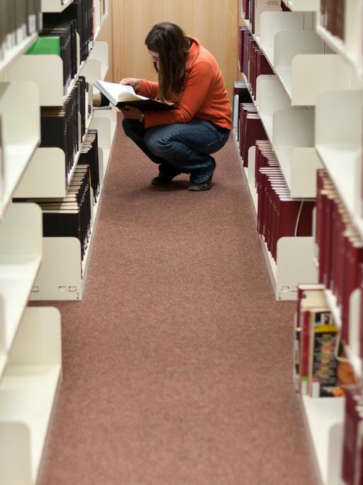 Eine Studentin sucht am 07.11.2012 ein Buch in der Bibliothek der Universität Hildesheim.