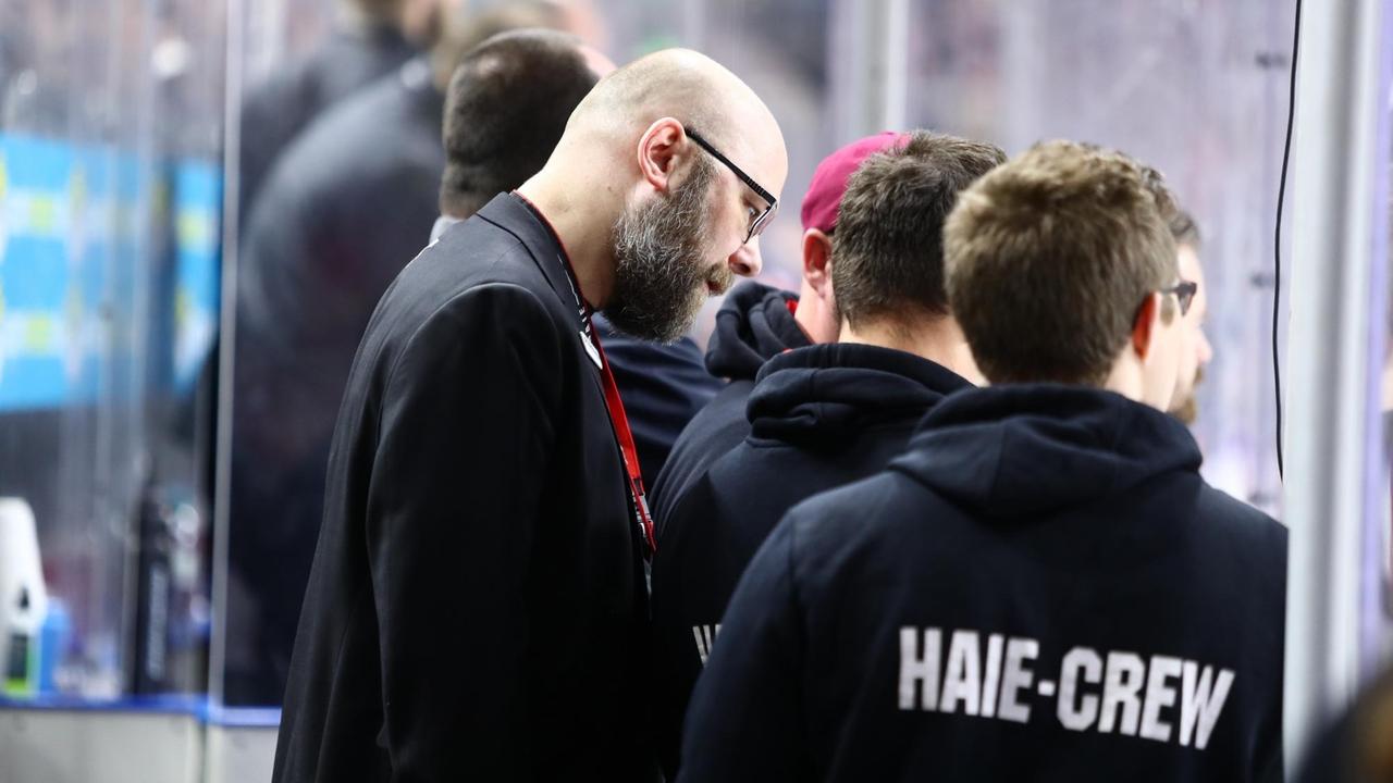 Philipp Walter, Geschäftsführer der Kölner Haie, steht mit weiteren Crewmitgliedern am Spielfeldrand.