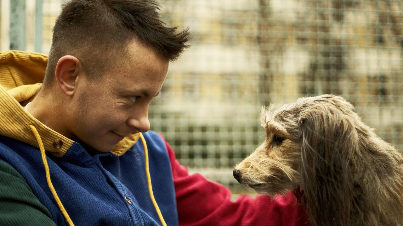Der Künstler und der Hund Aug in Aug im Profil