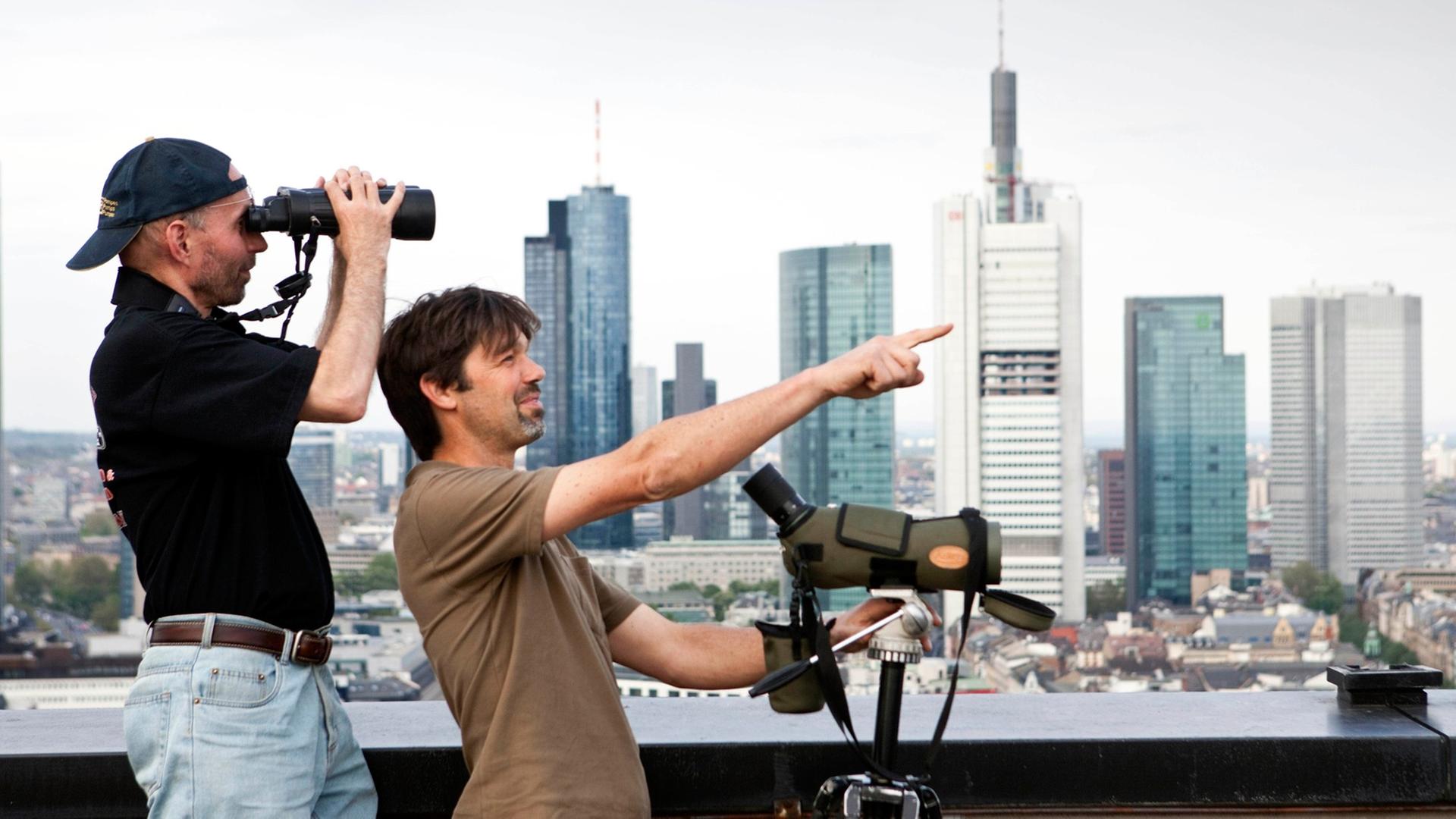 Die Hobby-Ornithologen Witiko Heuser (l) und Ingo Rösler (r) stehen mit ihren Feldstechern und Spektiven auf dem Dach des Posthochhauses der Commerzbank am Rande des Hauptbahnhofs von Frankfurt am Main