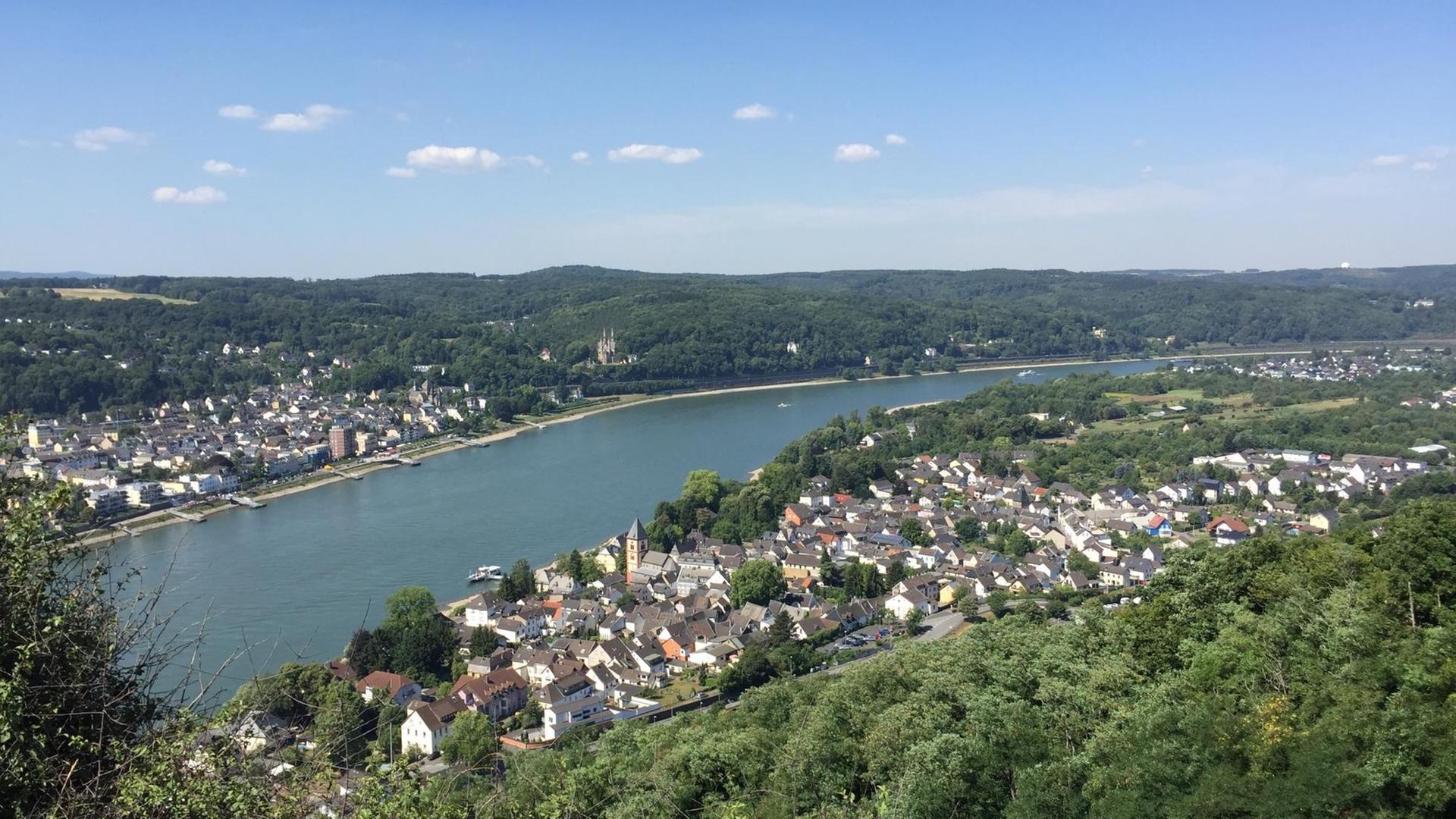 Sommer am Rhein Sommer am Rhein