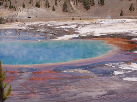 Die Grand Prismatic Spring ist die farbenprächtigste und eine der heißesten Quellen im Yellowstone Nationalpark
