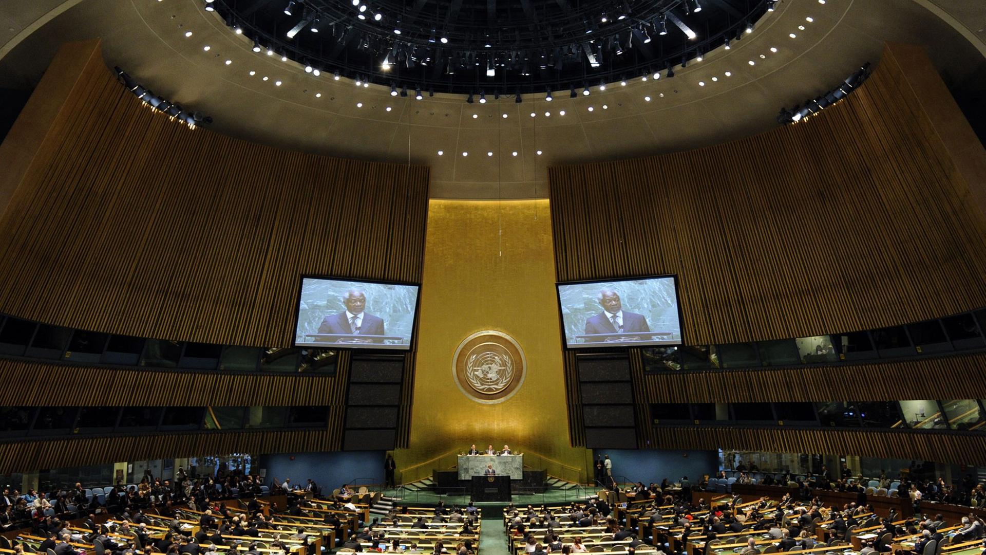 Die General-Versammlung von der UNO in New York, aufgenommen am 07.06.2012