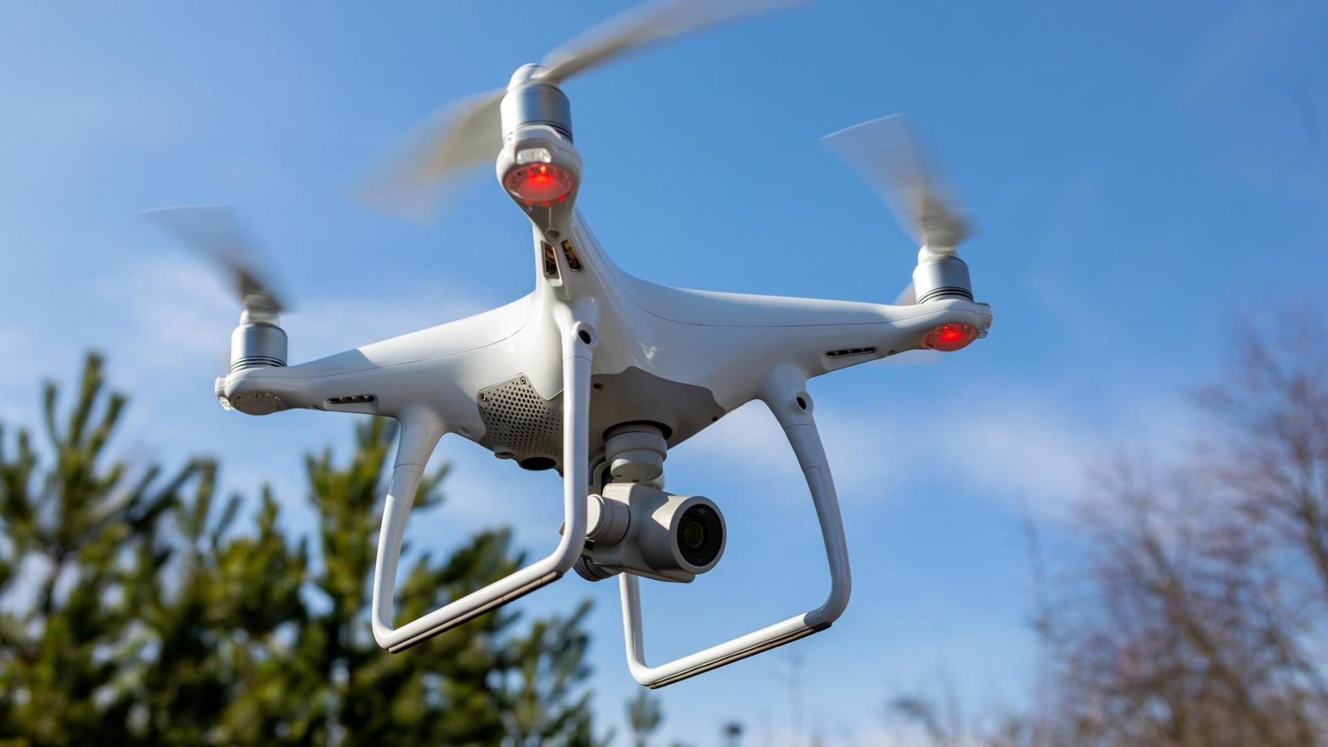 Schätzungen zufolge gibt es in Deutschland 500.000 Drohnen