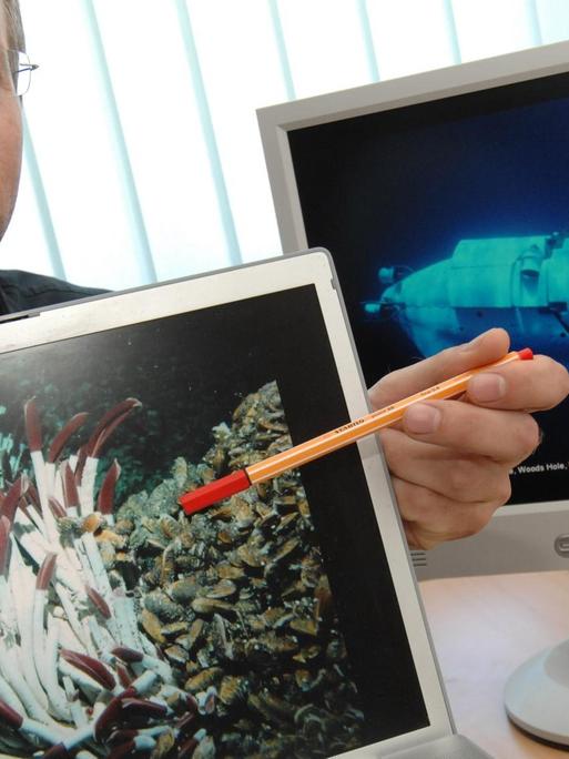 Der Leiter des Instituts für Marine Biotechnologie, der Mikrobiologe Prof. Thomas Schweder, zeigt am 29.07.2008 im Institut in Greifswald Tiefsee-Würmer, die in einer für den Menschen lebensfeindlichen Umgebung in der Nähe von Tiefseevulkanen ("black smoker") leben.