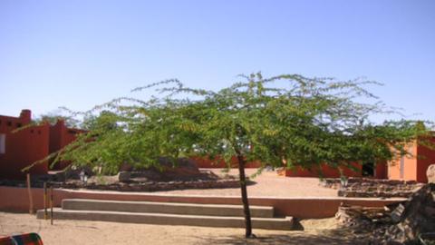 Claudia und Mokhtars Campingplatz in Tamanrasset: Vor und nach den Wüstentouren, bei denen die Urlauber in Zelten oder ganz unter freiem Himmel schlafen, kriegen sie hier ein richtiges Bett, Dusche und WC geboten.