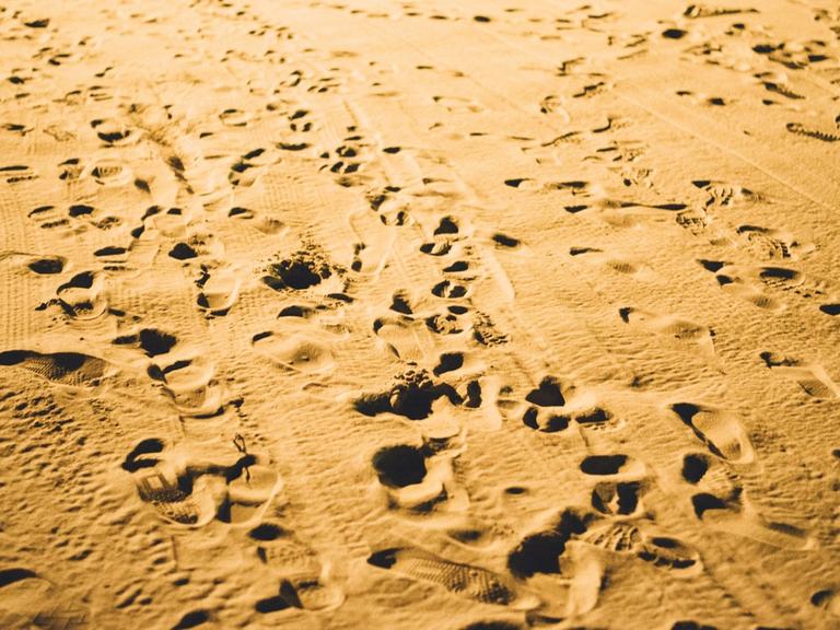 Spuren von Migration im Sand der Wüste