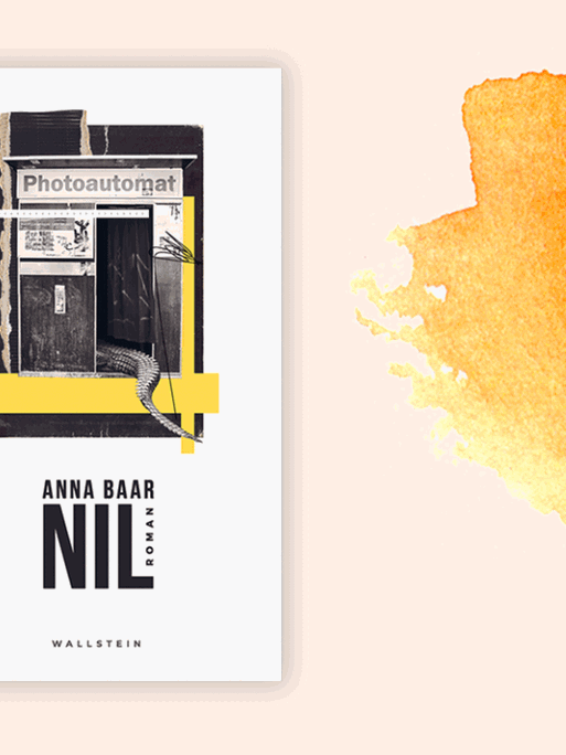 Cover des Romans "Nil" von Anna Baar.