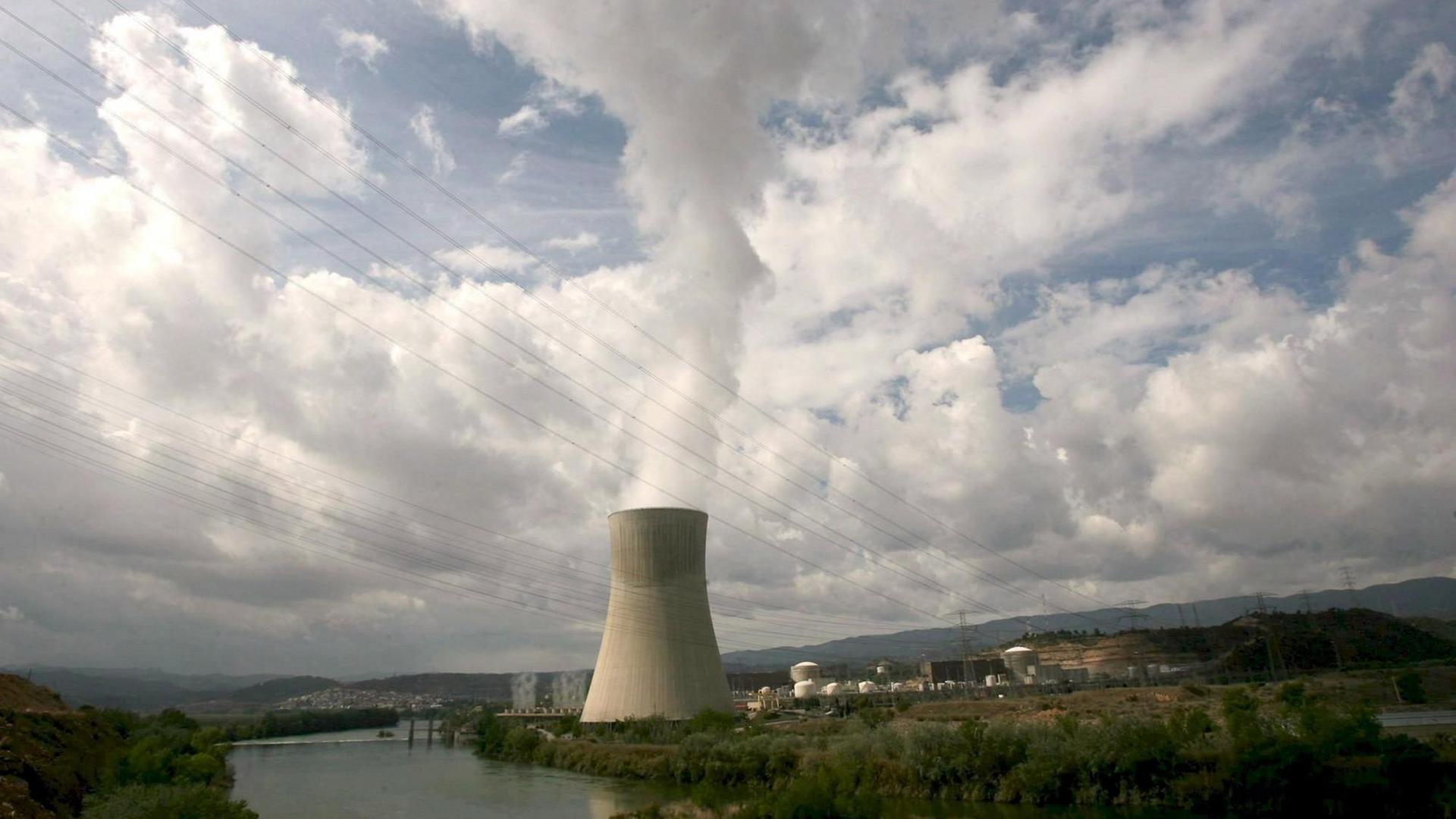 Das Atom-Kraftwerk bei Tarragona: Hier gab es im Jahr 2007 einen Vorfall, bei dem radioaktive Partikel durch das Belüftungssystem ausgetreten waren.