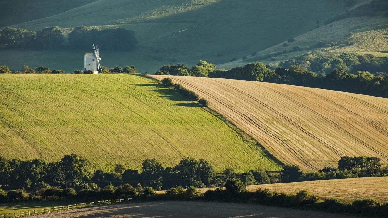 Ein hügelige Landschaft mit Feldern, Wiesen und einer weißen Mühle.