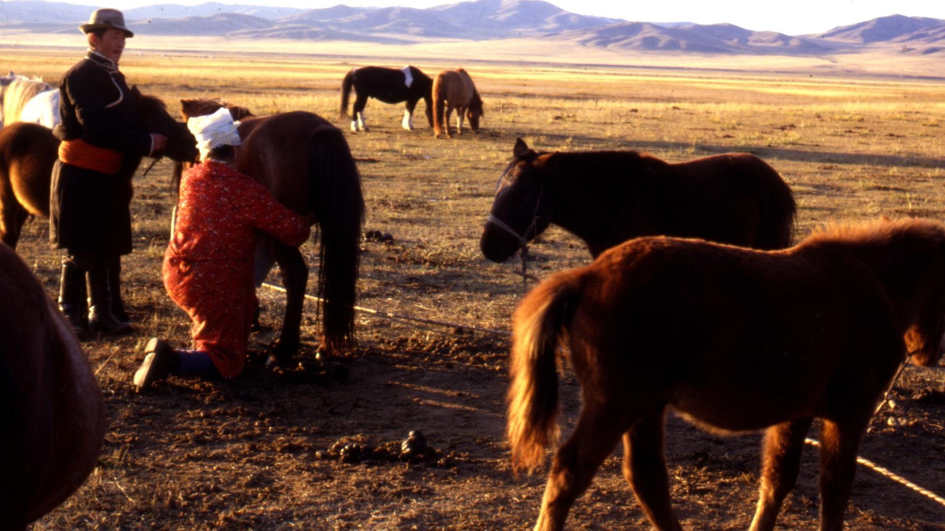 Mongolen mit ihren Ponys