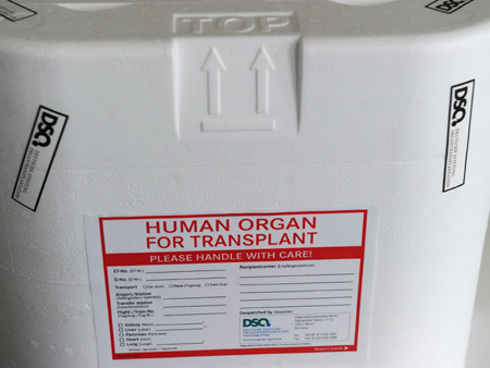Eine Organtransportbox steht in den Räumen der Deutschen Stiftung Organtransplantation (DSO) in Berlin.
