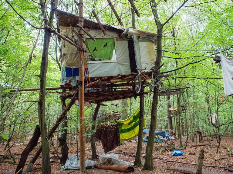 Ein Baumhaus von Aktivisten im Hambacher Forst
