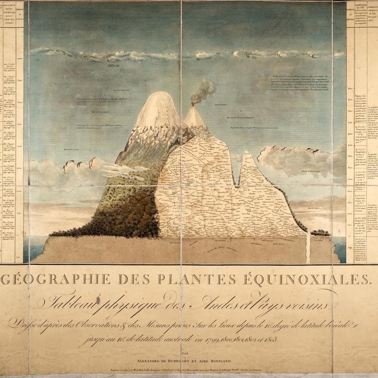 Alexander von Humboldts berühmtes Naturgemälde der Tropen "Tableau physique des Andes et pays voisins" (1807) stellt die Vegetationszonen in den Anden im Zusammenhang mit der Höhe dar. Es enthält einige Fehler.