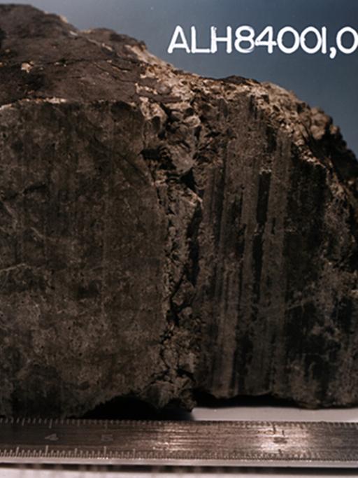 ALH84001, einer der berühmtesten Meteoriten