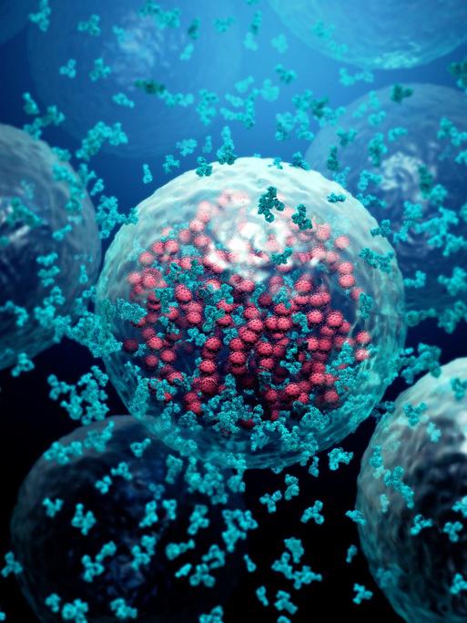 Illustration von Y-förmigen Antikörpern die eine, vom Virus befallene, Zelle umkreisen.
