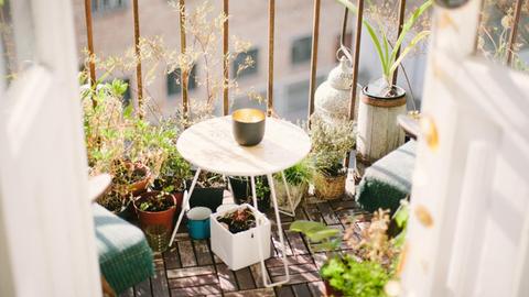 Blick auf einen Balkon mit Topfpflanzen.