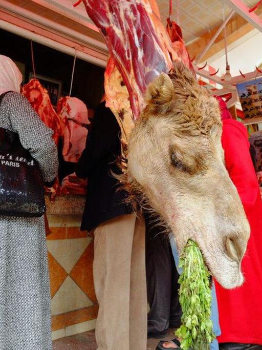 Ausgestellter Kamelkopf bei einem Metzger auf einem Markt von Casablanca