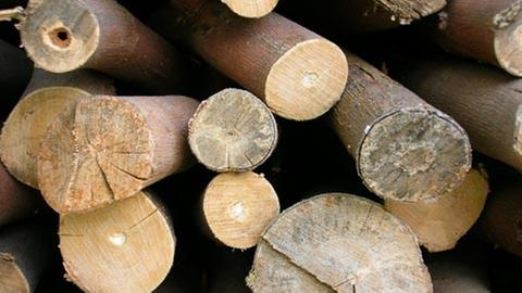 Brennholz kann auch beim Händler gekauft werden.