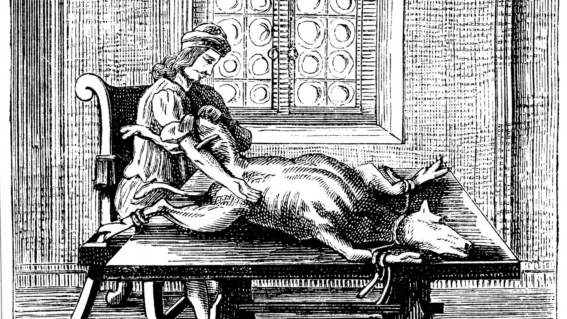 Bluttransfusion von Tier zu Mensch - In England und Frankreich benutzten Mediziner das Blut von Lämmern und Kälbern. Zu sehen ist ein Kupferstich von George Abraham Mercklino Tractatio, Nürnberg 1679.