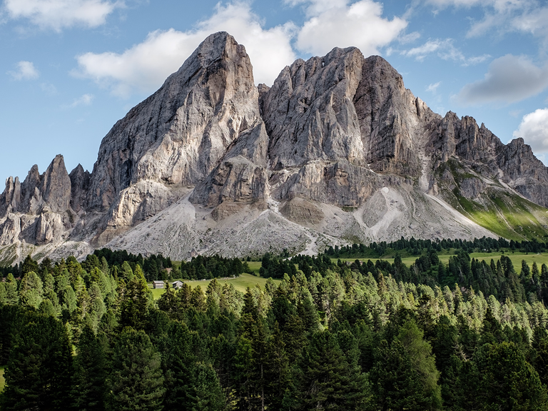Blick auf einen hohen Berg mit Wald davor.