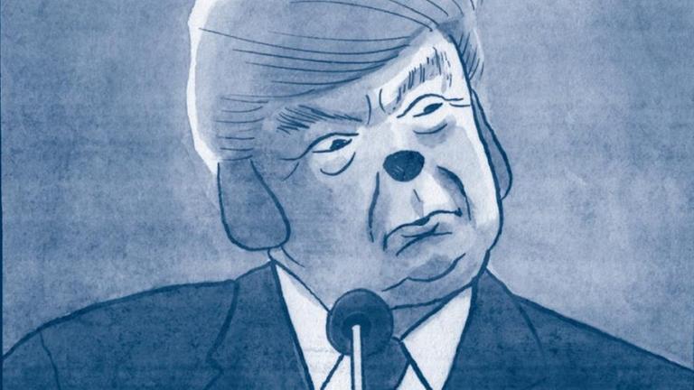 Ausschnitt aus dem Comic "Ausnahmezustand": US-Präsident Donald Trump.