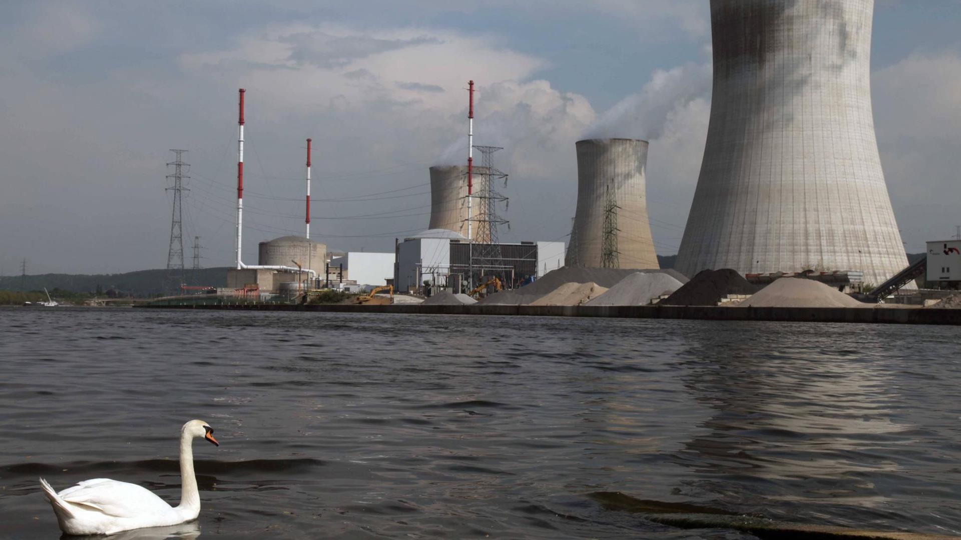 Blick auf das Atomkraftwerk Tihange in Belgein vom Flussufer der Maas aus betrachtet - am 23.04.2011. Links im Vordergrund ein Schwan.