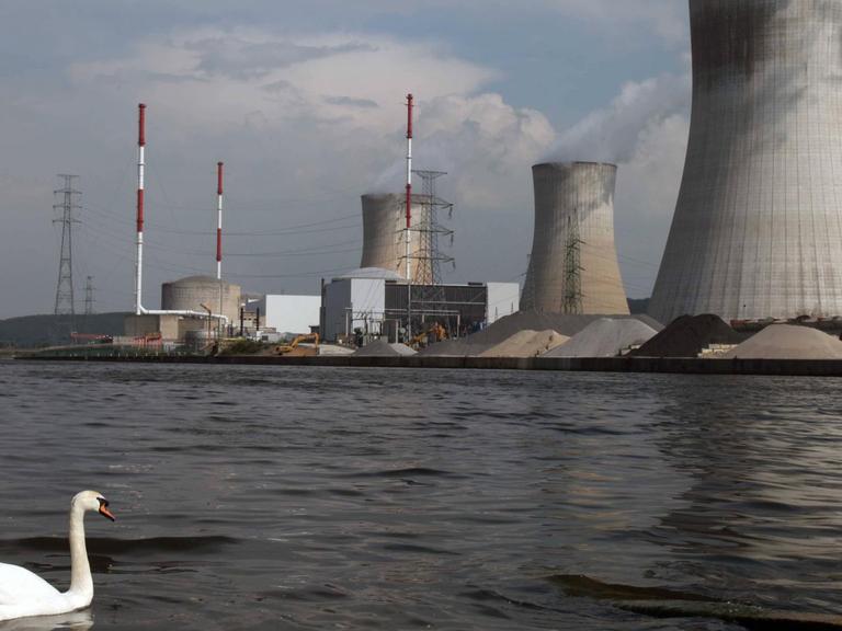 Blick auf das Atomkraftwerk Tihange in Belgein vom Flussufer der Maas aus betrachtet - am 23.04.2011. Links im Vordergrund ein Schwan.
