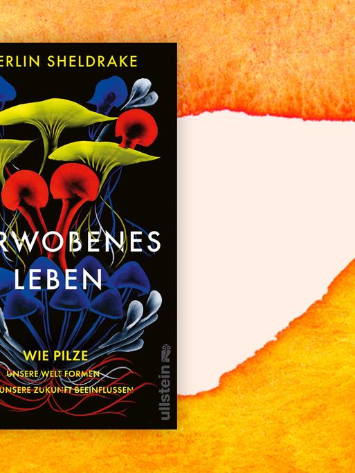 Buchcover zu Merlin Sheldrake: "Verwobenes Leben" zeigt Pilze