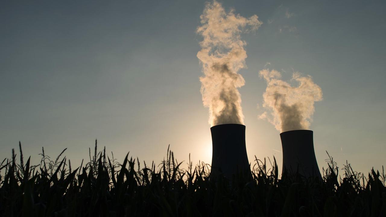 Kernenergie in der EU Auslaufmodell oder Hoffnungsträger für mehr