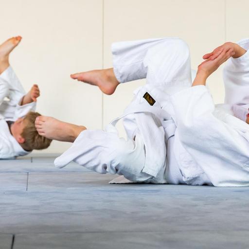 Kinder und Jugendliche des TSV Reinbek trainieren zusammen die japanische Kampfkunst Aikido.