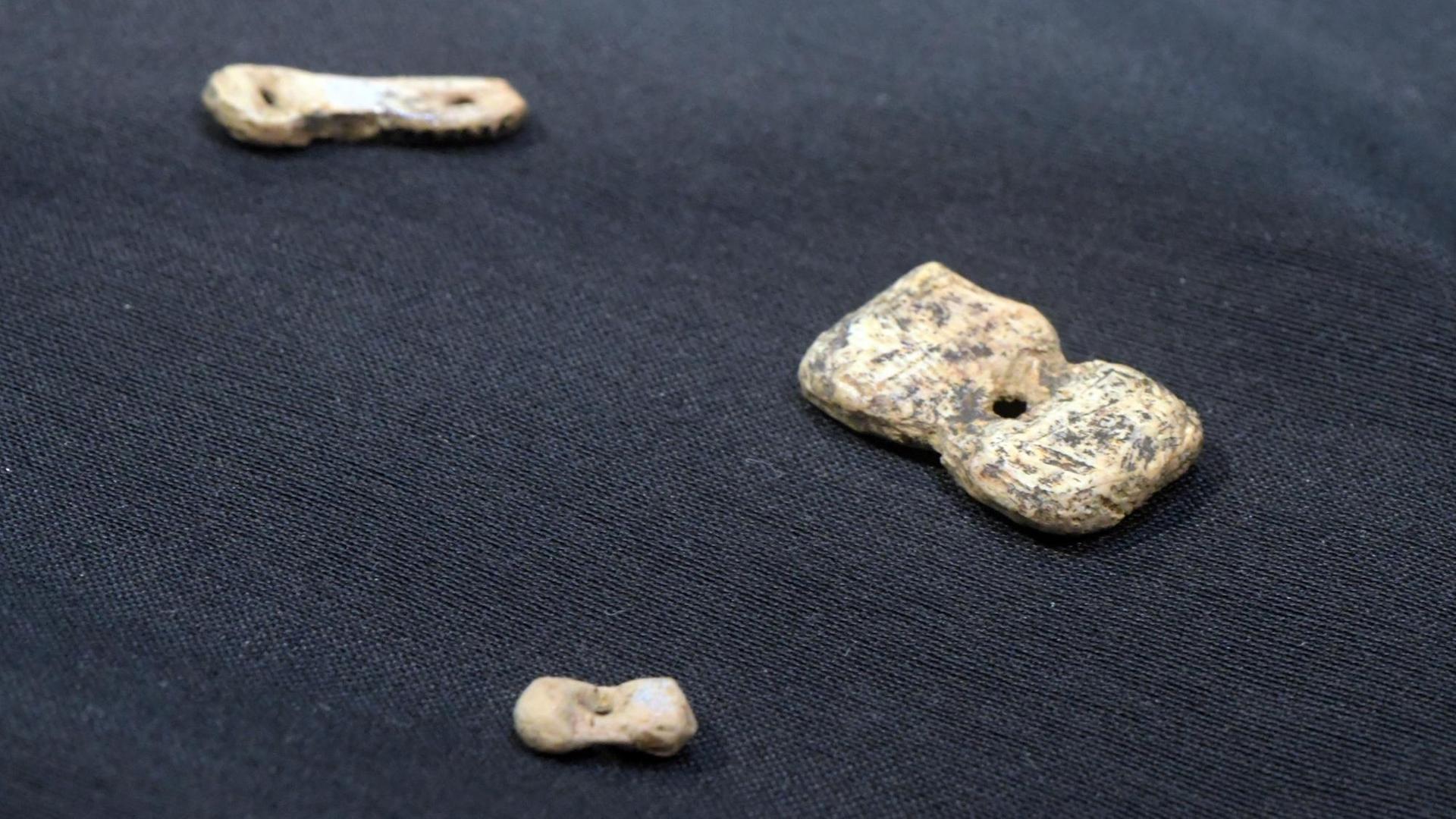 Perlen aus Elfenbein liegen im Urgeschichtlichen Museum Blaubeuren in einer Vitrine. Dieser Schmuck wurde bei Ausgrabungen 2016 von Archäologen der Universität Tübingen in der Höhle Hohle Fels auf der Schwäbischen Alb gefunden.