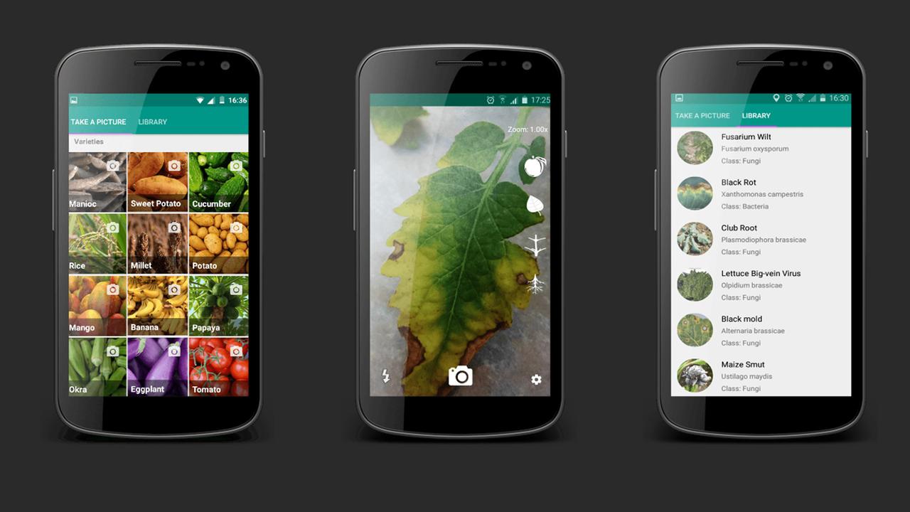 Die App Plantix auf dem Smartphone: Hilfreich für alle, die es mit Schädlingen zu tun haben (Screenshot von der Webseite plantix.net)