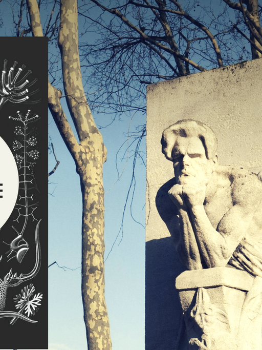 Die Neuübersetzung von Charles Baudelaires "Die Blumen des Bösen". Im Hintergrund: Ein Kenotaph in Paris zu Ehren Baudelaires.
