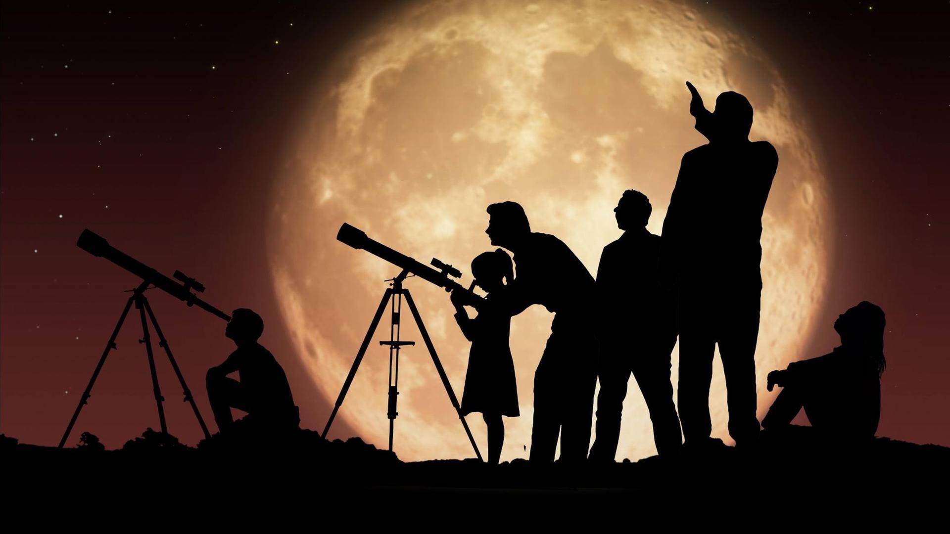 Silhouetten von Menschen die durch Teleskope in den Nachthimmel blicken.