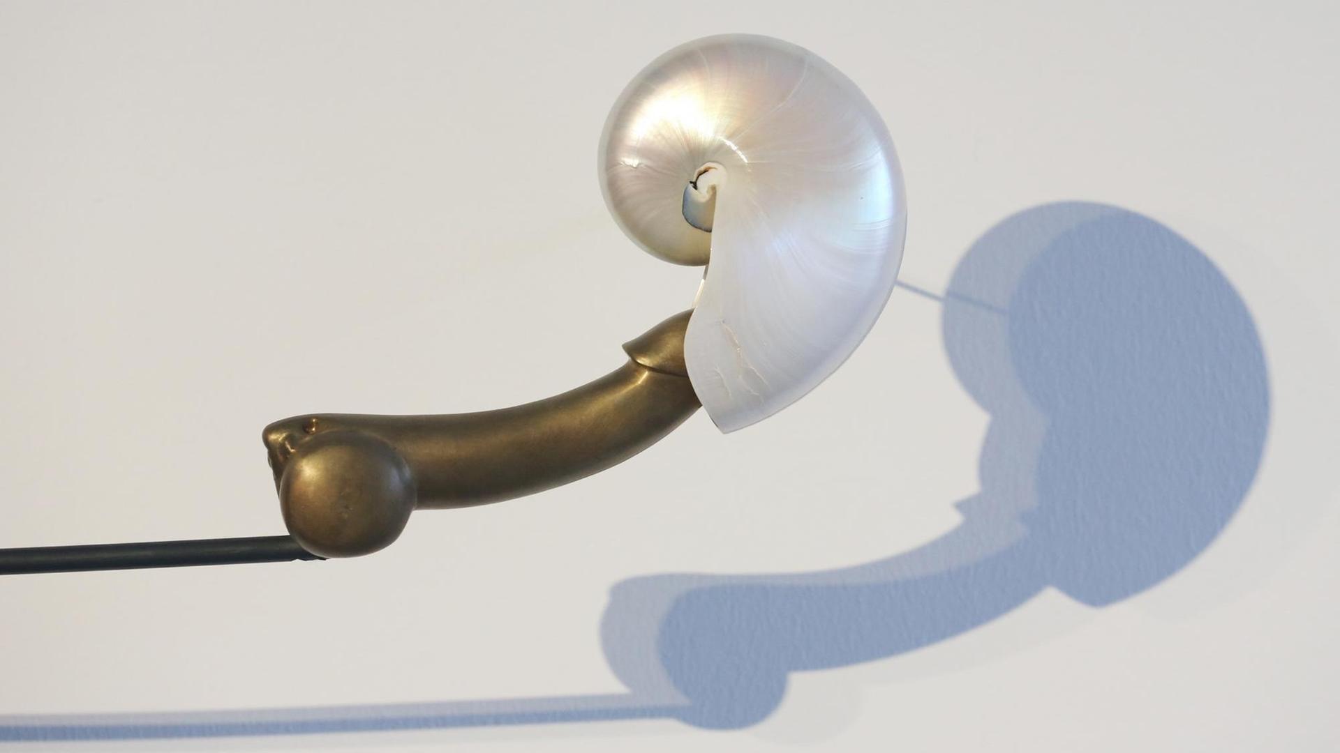 Das Objekt "Liebesflucht, Muschelschlaf" von Rebecca Horn wirft im Lehmbruck-Museum in Duisburg einen Schatten an die Wand.